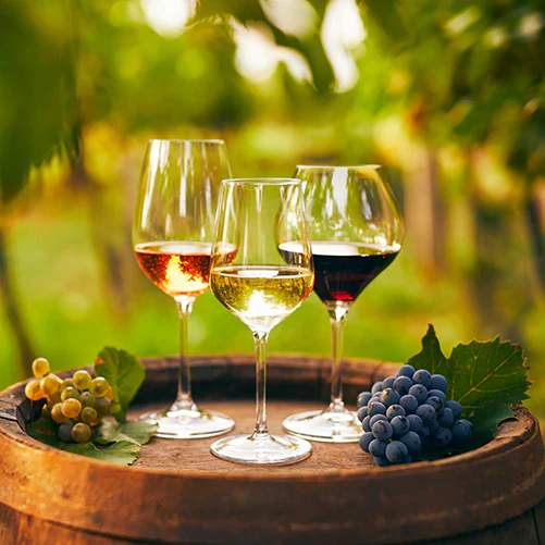 wine_aging_aromas_sitoIT_501x501